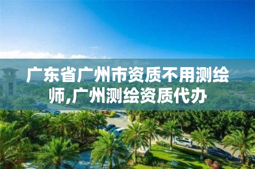 广东省广州市资质不用测绘师,广州测绘资质代办