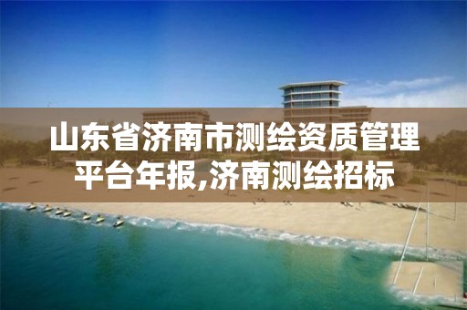 山东省济南市测绘资质管理平台年报,济南测绘招标