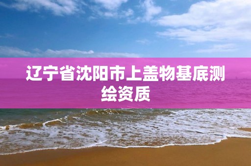 辽宁省沈阳市上盖物基底测绘资质