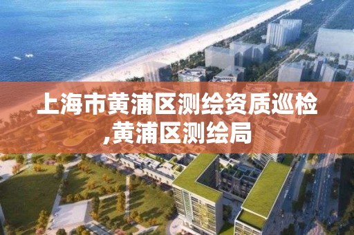 上海市黄浦区测绘资质巡检,黄浦区测绘局