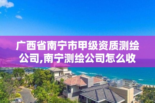 广西省南宁市甲级资质测绘公司,南宁测绘公司怎么收费标准