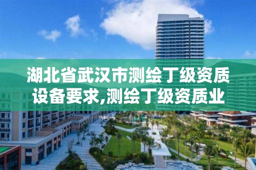 湖北省武汉市测绘丁级资质设备要求,测绘丁级资质业务范围