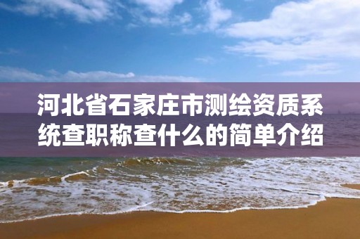 河北省石家庄市测绘资质系统查职称查什么的简单介绍