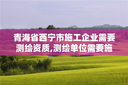 青海省西宁市施工企业需要测绘资质,测绘单位需要施工企业安全许可证