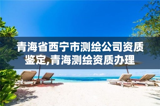 青海省西宁市测绘公司资质鉴定,青海测绘资质办理