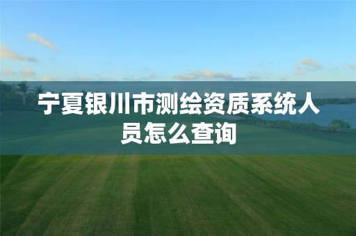 宁夏银川市测绘资质系统人员怎么查询