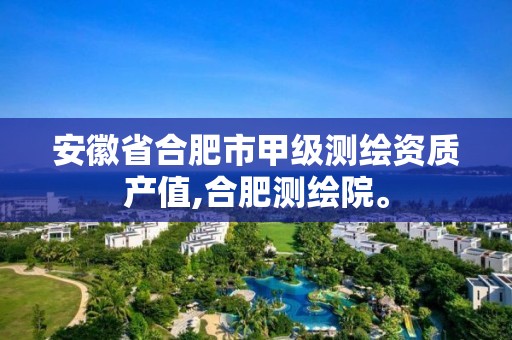 安徽省合肥市甲级测绘资质产值,合肥测绘院。