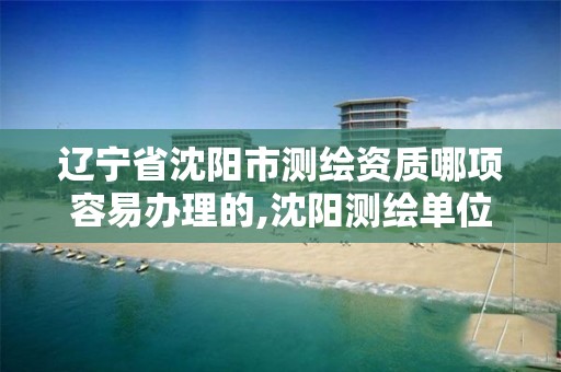 辽宁省沈阳市测绘资质哪项容易办理的,沈阳测绘单位排名