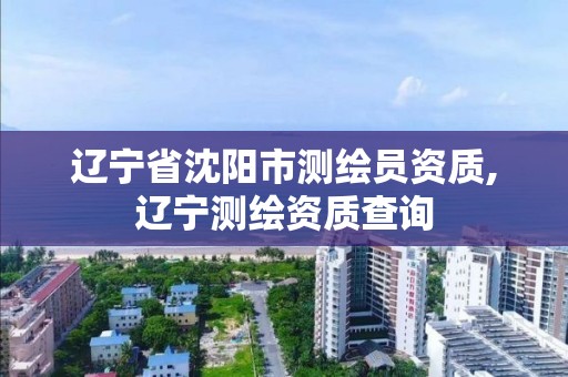 辽宁省沈阳市测绘员资质,辽宁测绘资质查询