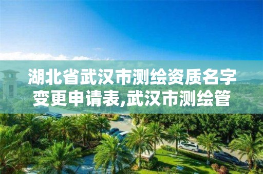 湖北省武汉市测绘资质名字变更申请表,武汉市测绘管理条例