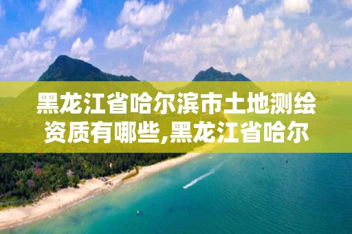 黑龙江省哈尔滨市土地测绘资质有哪些,黑龙江省哈尔滨市测绘局