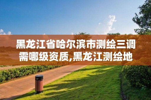 黑龙江省哈尔滨市测绘三调需哪级资质,黑龙江测绘地理信息局三定方案。