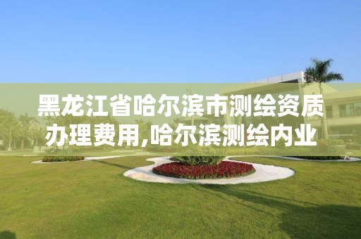 黑龙江省哈尔滨市测绘资质办理费用,哈尔滨测绘内业招聘信息