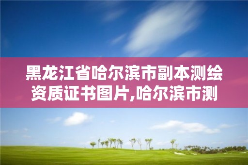 黑龙江省哈尔滨市副本测绘资质证书图片,哈尔滨市测绘局。