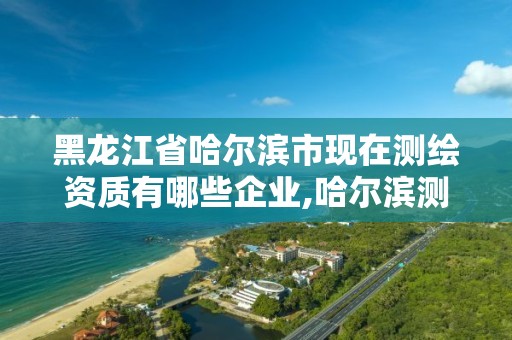 黑龙江省哈尔滨市现在测绘资质有哪些企业,哈尔滨测绘内业招聘信息