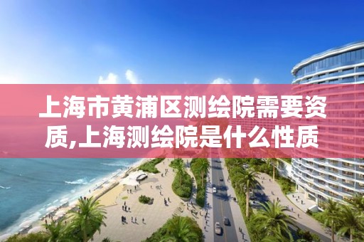 上海市黄浦区测绘院需要资质,上海测绘院是什么性质的单位