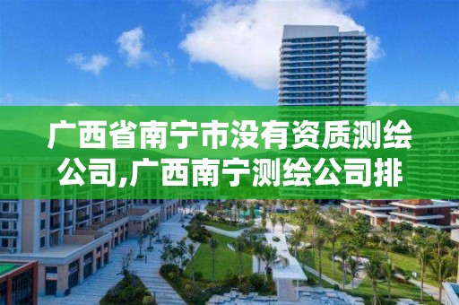 广西省南宁市没有资质测绘公司,广西南宁测绘公司排名