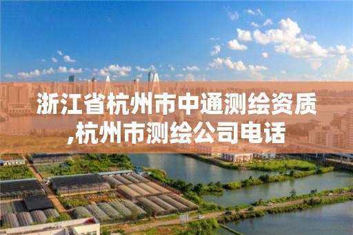 浙江省杭州市中通测绘资质,杭州市测绘公司电话