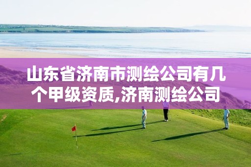 山东省济南市测绘公司有几个甲级资质,济南测绘公司招聘