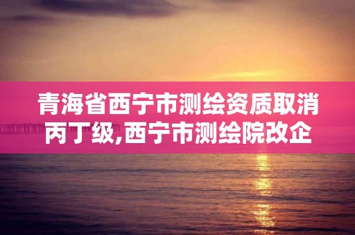 青海省西宁市测绘资质取消丙丁级,西宁市测绘院改企业