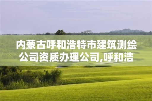 内蒙古呼和浩特市建筑测绘公司资质办理公司,呼和浩特测绘有限公司