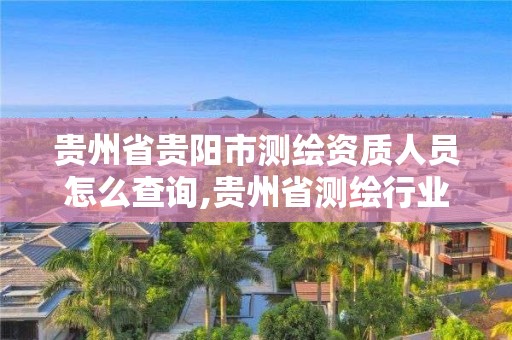 贵州省贵阳市测绘资质人员怎么查询,贵州省测绘行业协会