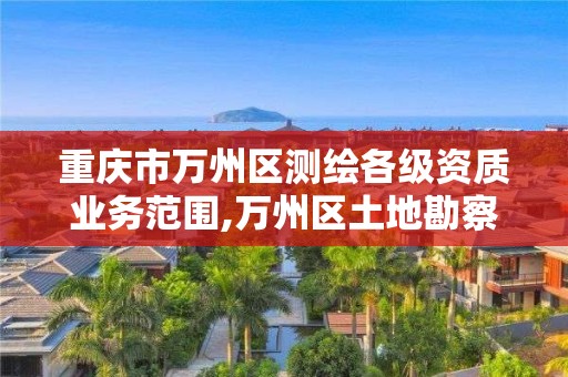 重庆市万州区测绘各级资质业务范围,万州区土地勘察测绘队