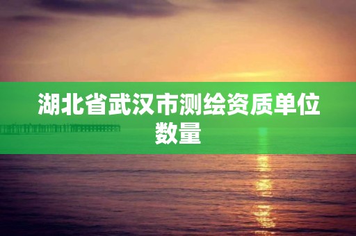 湖北省武汉市测绘资质单位数量