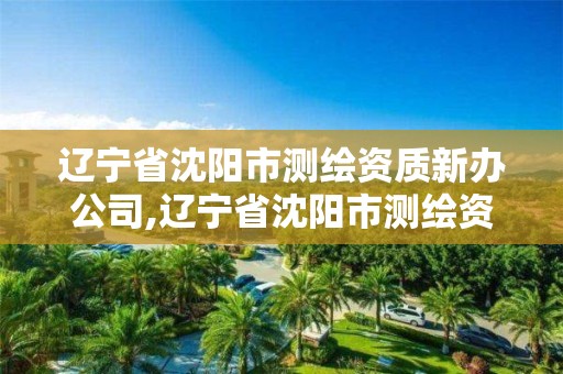 辽宁省沈阳市测绘资质新办公司,辽宁省沈阳市测绘资质新办公司有哪些