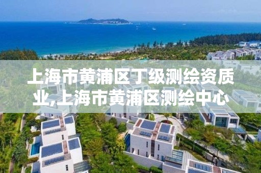 上海市黄浦区丁级测绘资质业,上海市黄浦区测绘中心