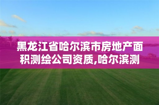 黑龙江省哈尔滨市房地产面积测绘公司资质,哈尔滨测绘局是干什么的。