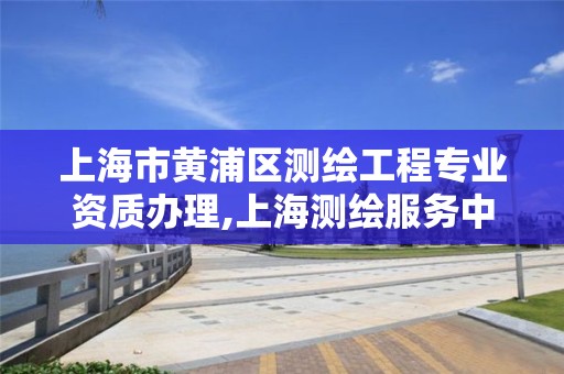 上海市黄浦区测绘工程专业资质办理,上海测绘服务中心