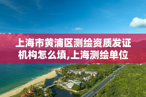 上海市黄浦区测绘资质发证机构怎么填,上海测绘单位