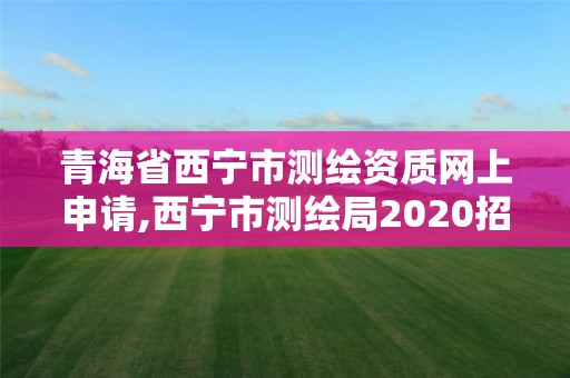 青海省西宁市测绘资质网上申请,西宁市测绘局2020招聘