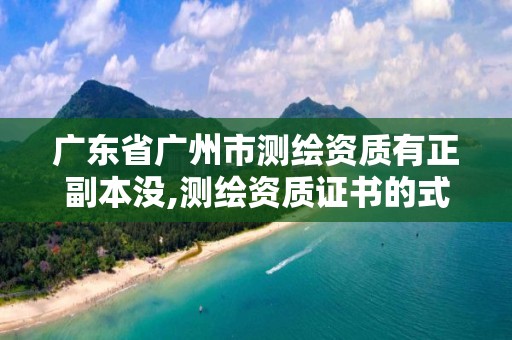 广东省广州市测绘资质有正副本没,测绘资质证书的式样