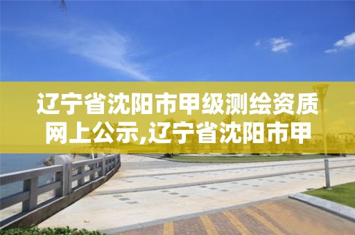 辽宁省沈阳市甲级测绘资质网上公示,辽宁省沈阳市甲级测绘资质网上公示