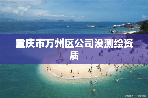 重庆市万州区公司没测绘资质