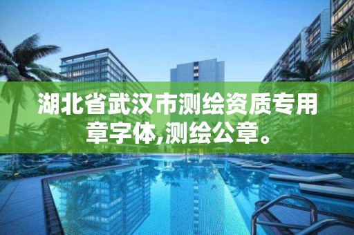 湖北省武汉市测绘资质专用章字体,测绘公章。