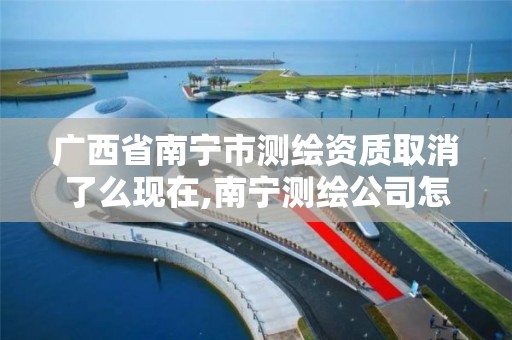 广西省南宁市测绘资质取消了么现在,南宁测绘公司怎么收费标准