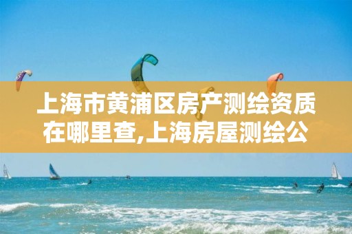 上海市黄浦区房产测绘资质在哪里查,上海房屋测绘公司有哪几家。