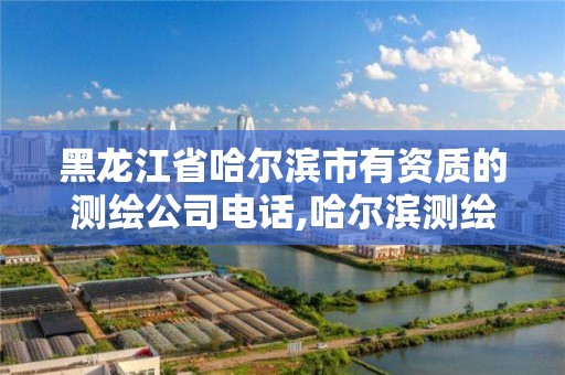 黑龙江省哈尔滨市有资质的测绘公司电话,哈尔滨测绘职工中等专业学校。