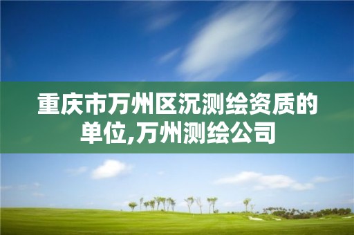 重庆市万州区沉测绘资质的单位,万州测绘公司