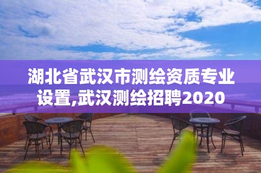 湖北省武汉市测绘资质专业设置,武汉测绘招聘2020