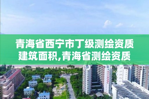 青海省西宁市丁级测绘资质建筑面积,青海省测绘资质延期公告