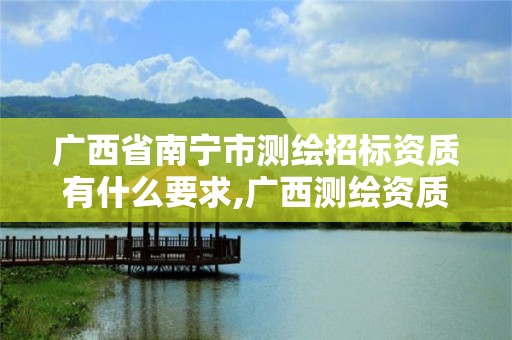 广西省南宁市测绘招标资质有什么要求,广西测绘资质单位