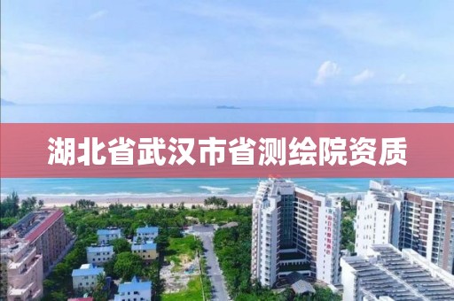 湖北省武汉市省测绘院资质