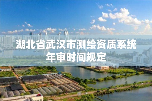 湖北省武汉市测绘资质系统年审时间规定