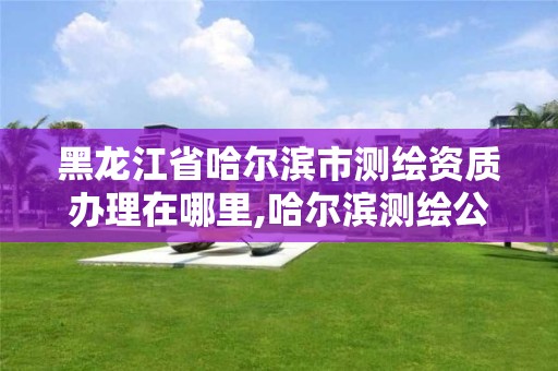 黑龙江省哈尔滨市测绘资质办理在哪里,哈尔滨测绘公司电话