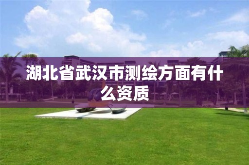 湖北省武汉市测绘方面有什么资质