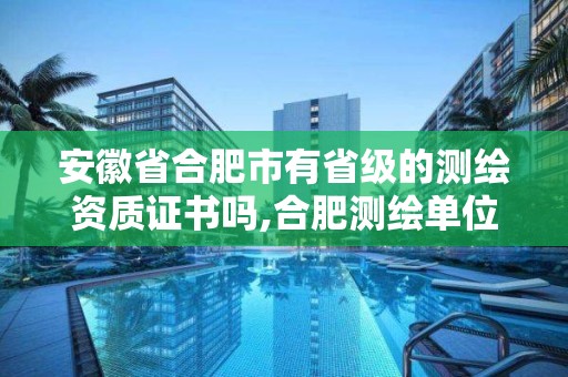 安徽省合肥市有省级的测绘资质证书吗,合肥测绘单位。